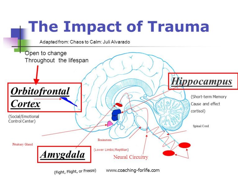 Can Childhood Trauma Cause Brain Damage